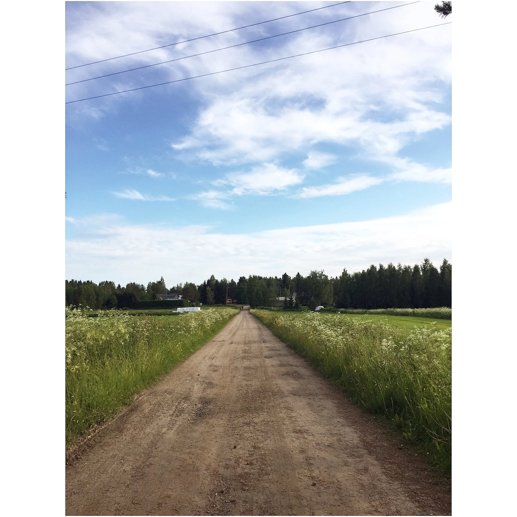 Bild från natursköna Krombi 2017.