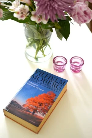 Beklagar att bilderna är olika storlek i det här inlägget. Jag var tvungen att gå waaaay back i bildarkivet i min tidigare blogg för att hitta de här bilderna.