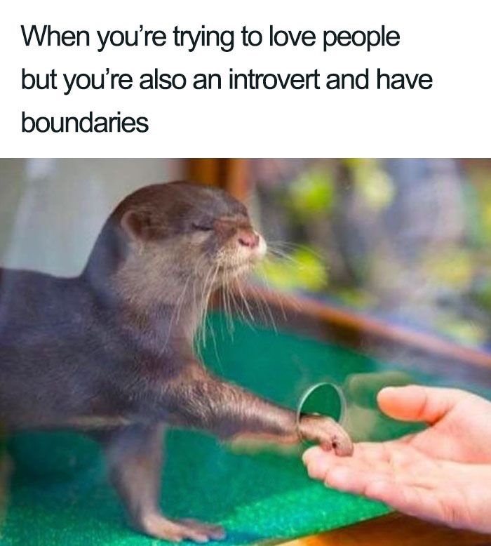public.jpeg