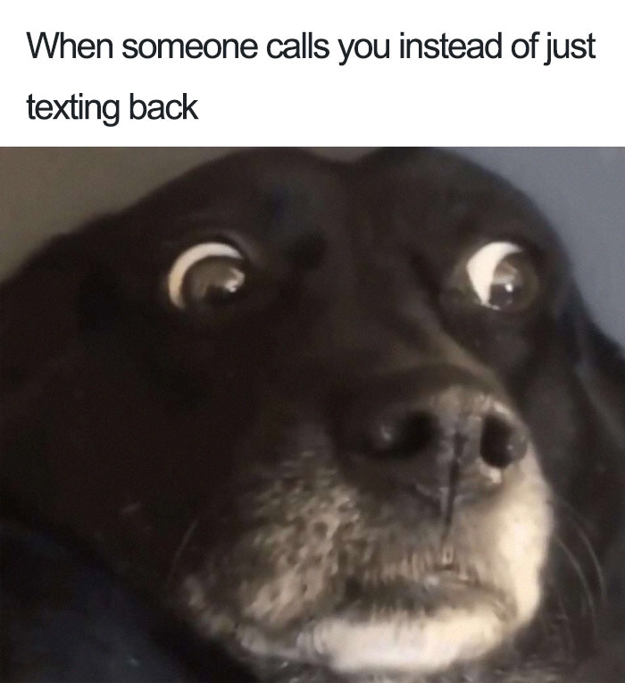 public.jpeg