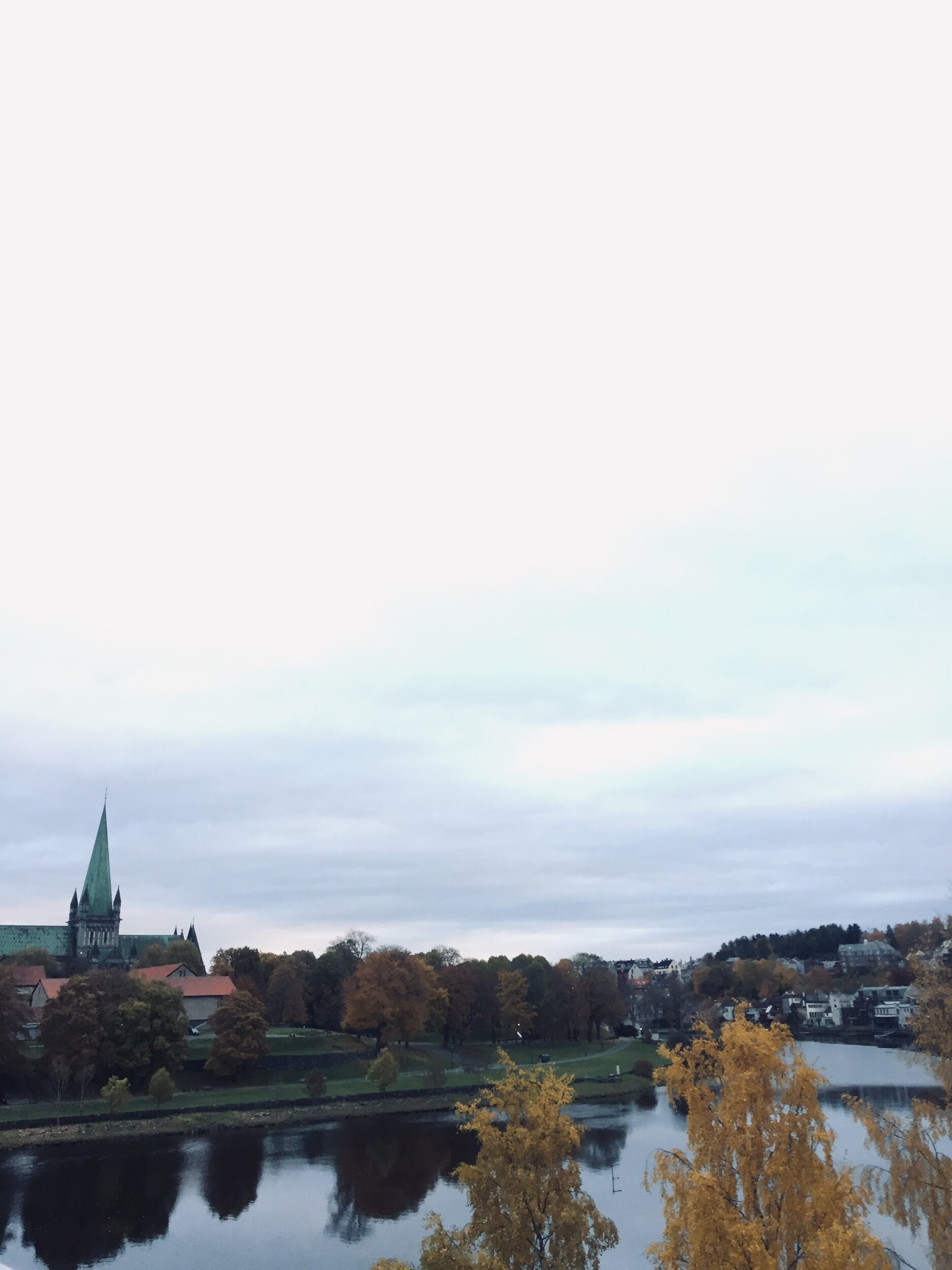 IMG_7349.jpeg