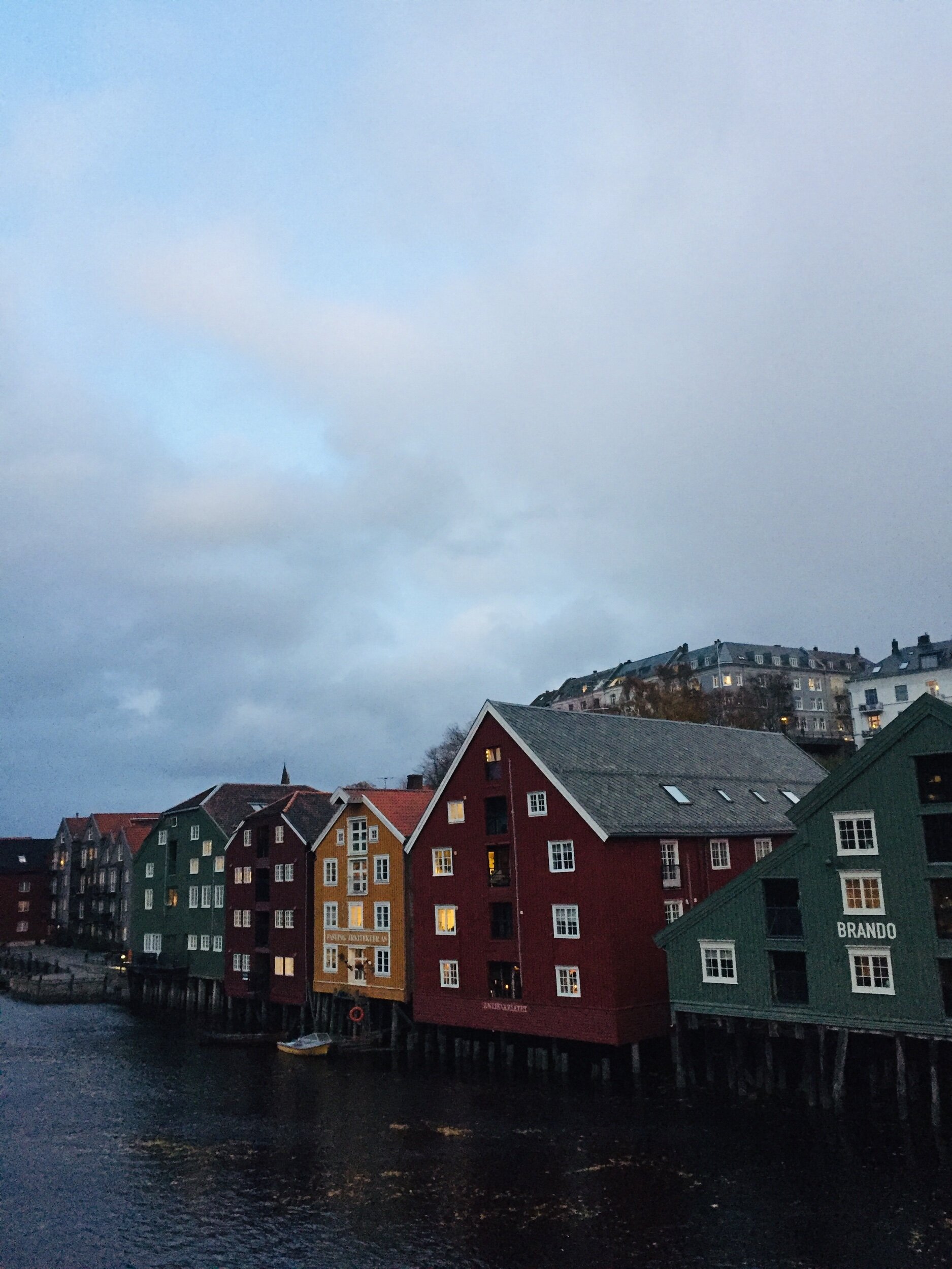 IMG_7375.jpeg