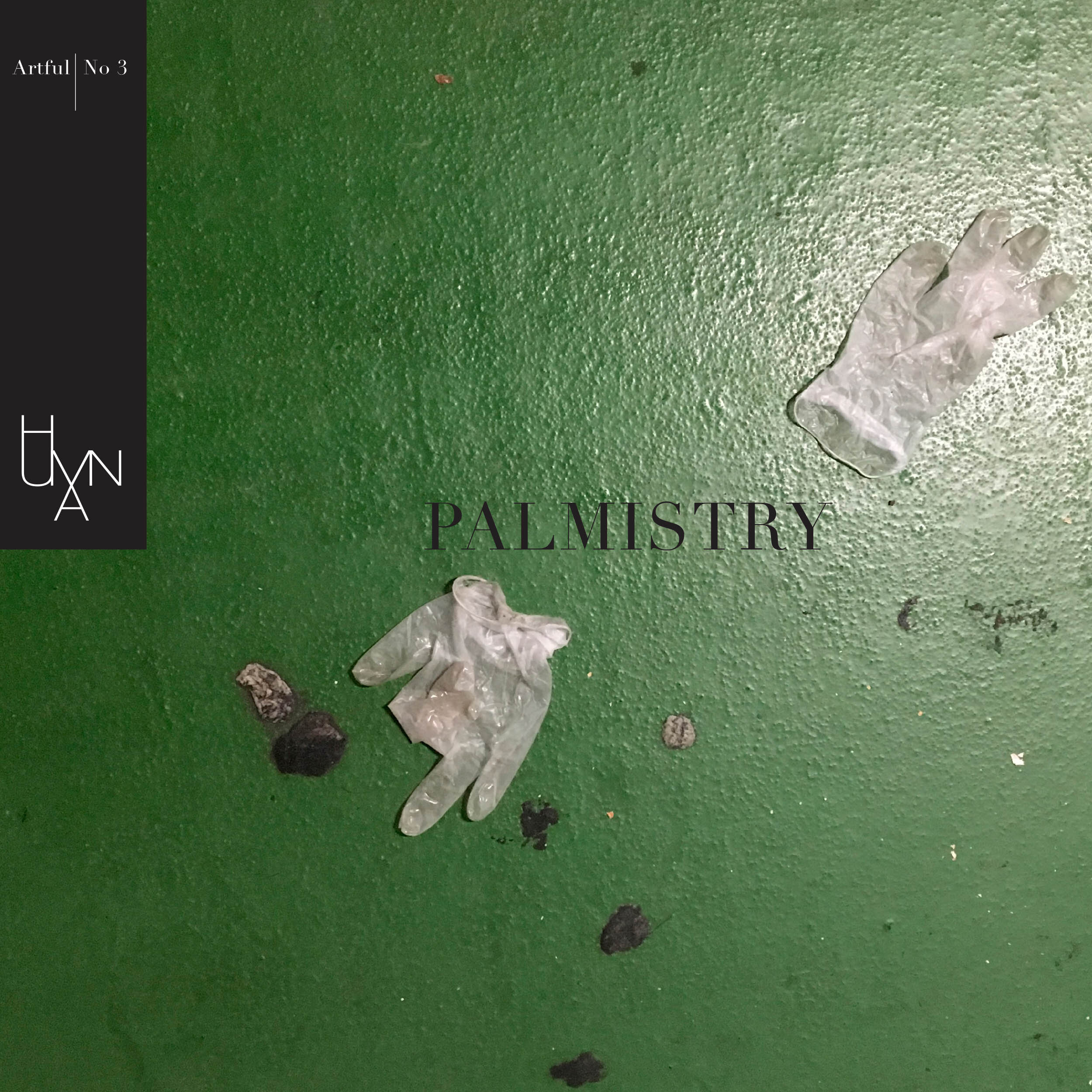 Palmistry cover.jpg