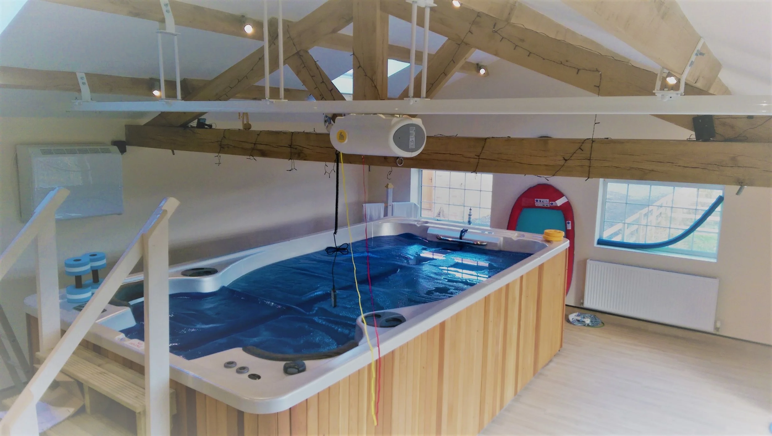 handi-move-hydropool-ceiling-hoist-dolphin-lifts.jpeg