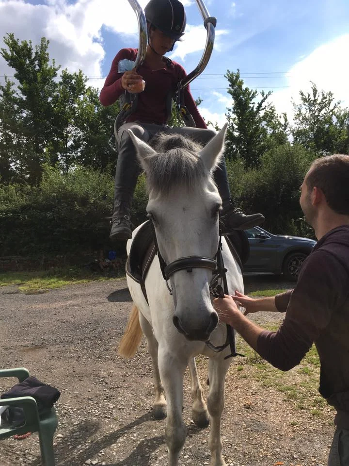 Dolphin Mobility Sponsor Para Dressage Rider