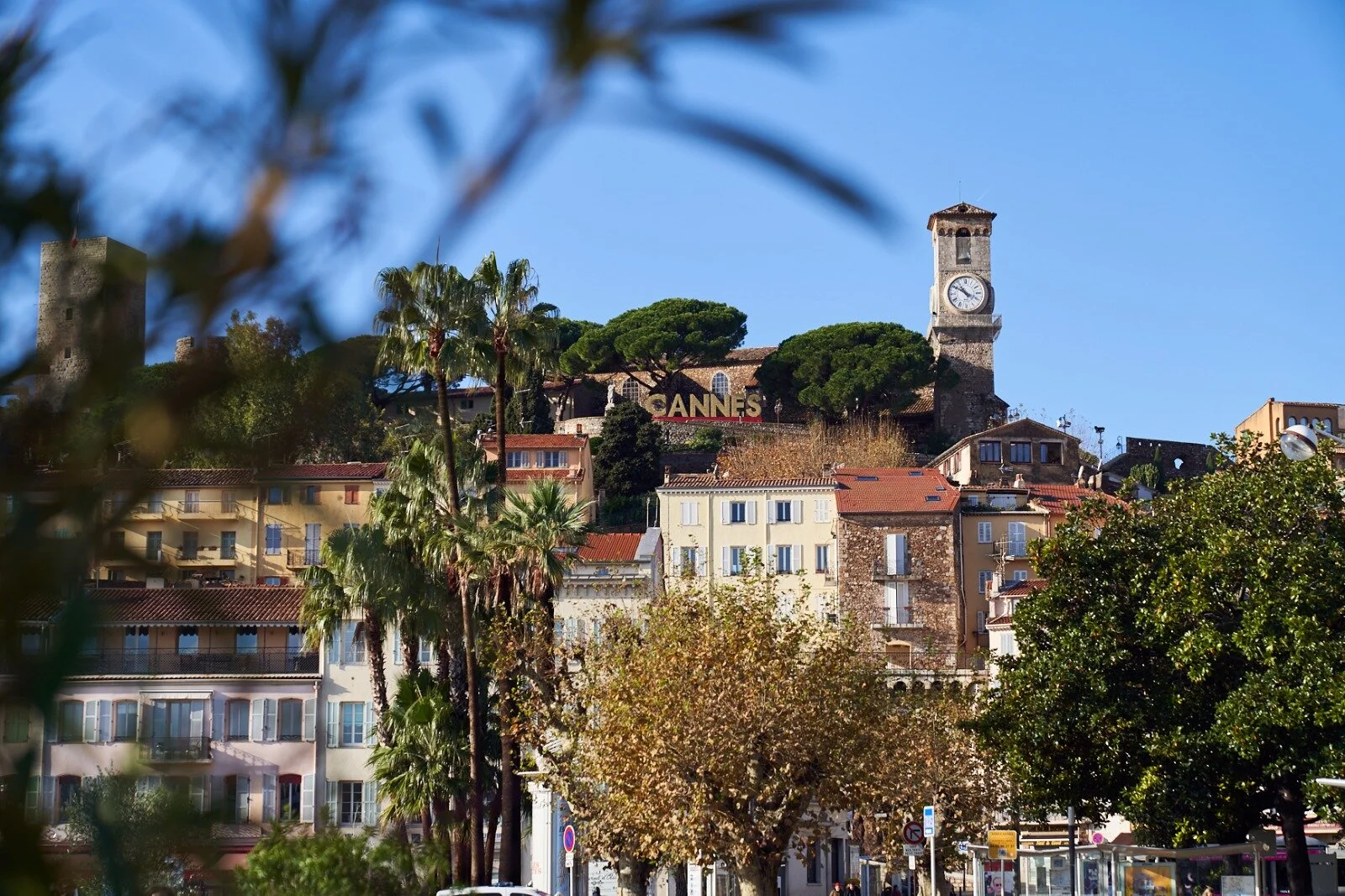 WhatsApp Image 2019-12-03 at 10.42.03.jpeg