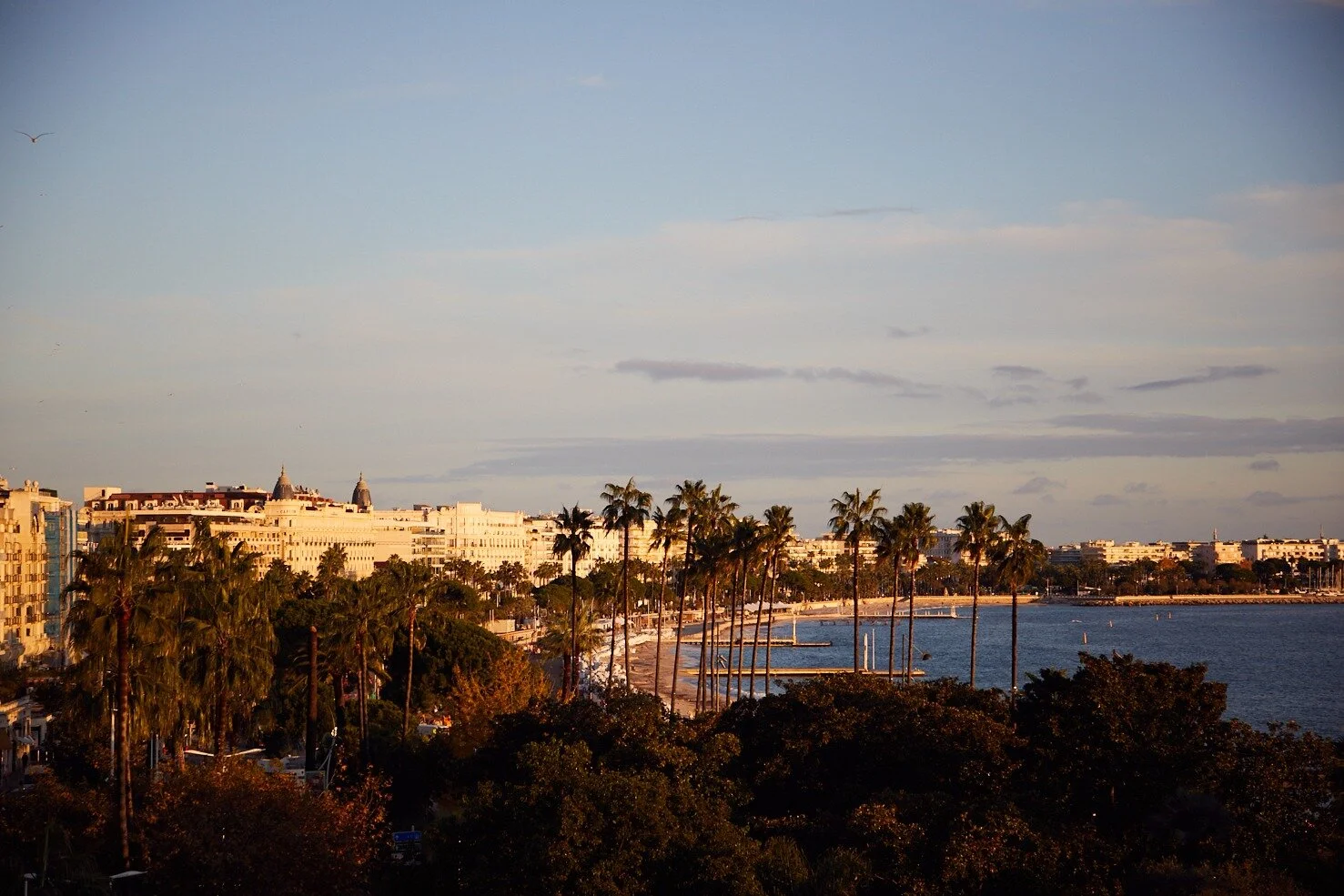 WhatsApp Image 2019-12-03 at 10.45.22.jpeg