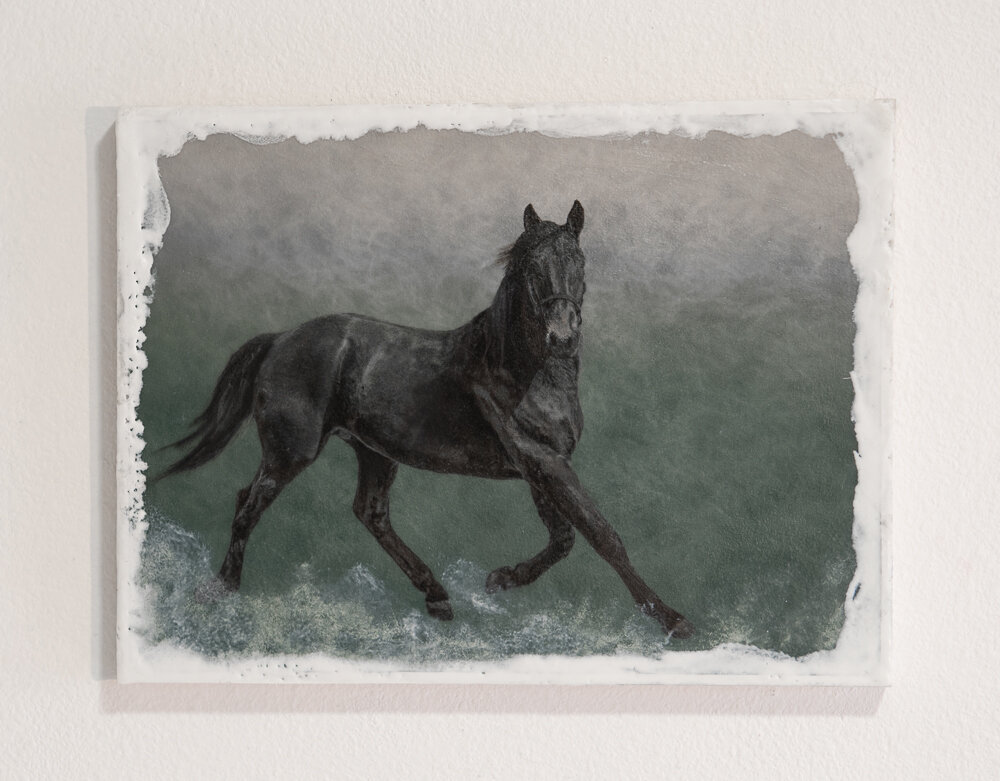 trotter