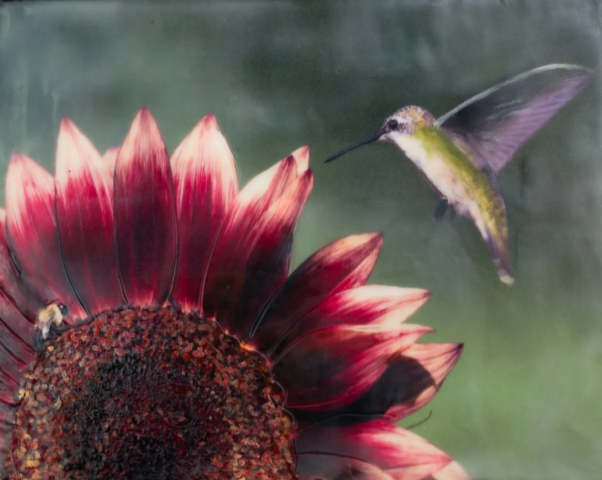 Lopez,Linda_Beautiful bloom II.jpg