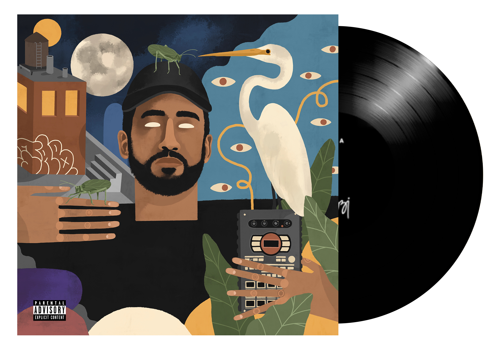 TWOD-vinyl.png