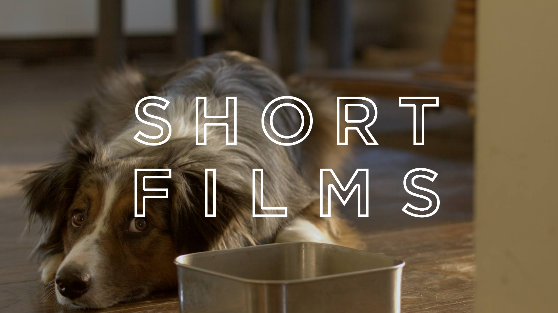 Short Films.png