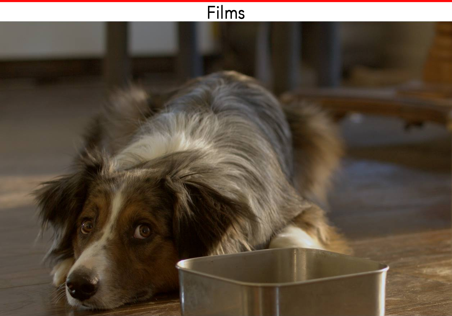 Short Films.png