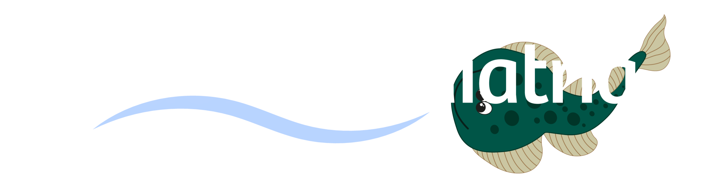 especialidades-04.png