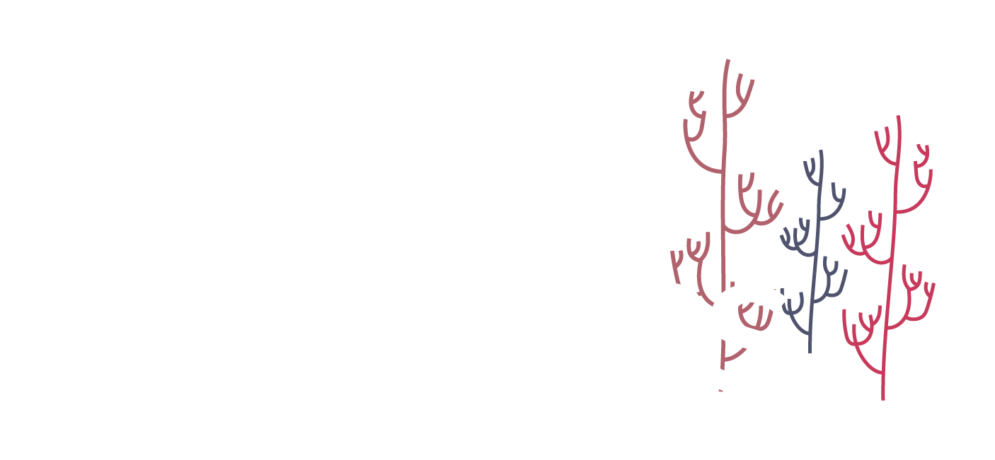 especialidades-04.png