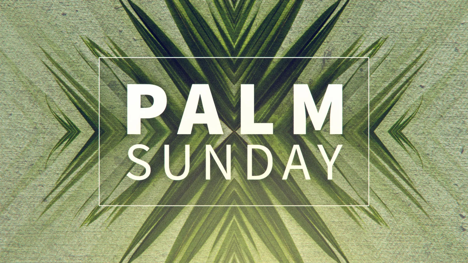 palm_sunday_hd.jpg