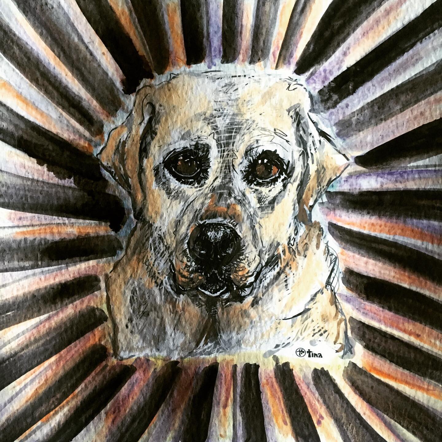 Shuli - amazing Labrador..
.
.
.
.
#Shuli #guidedogsofamerica #oneinamillion #drawing #watercolor #behappy