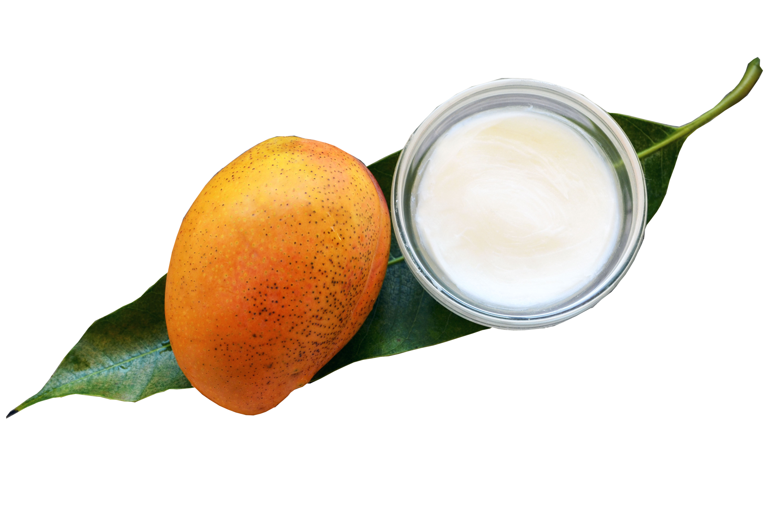 Mango Butter no background.png