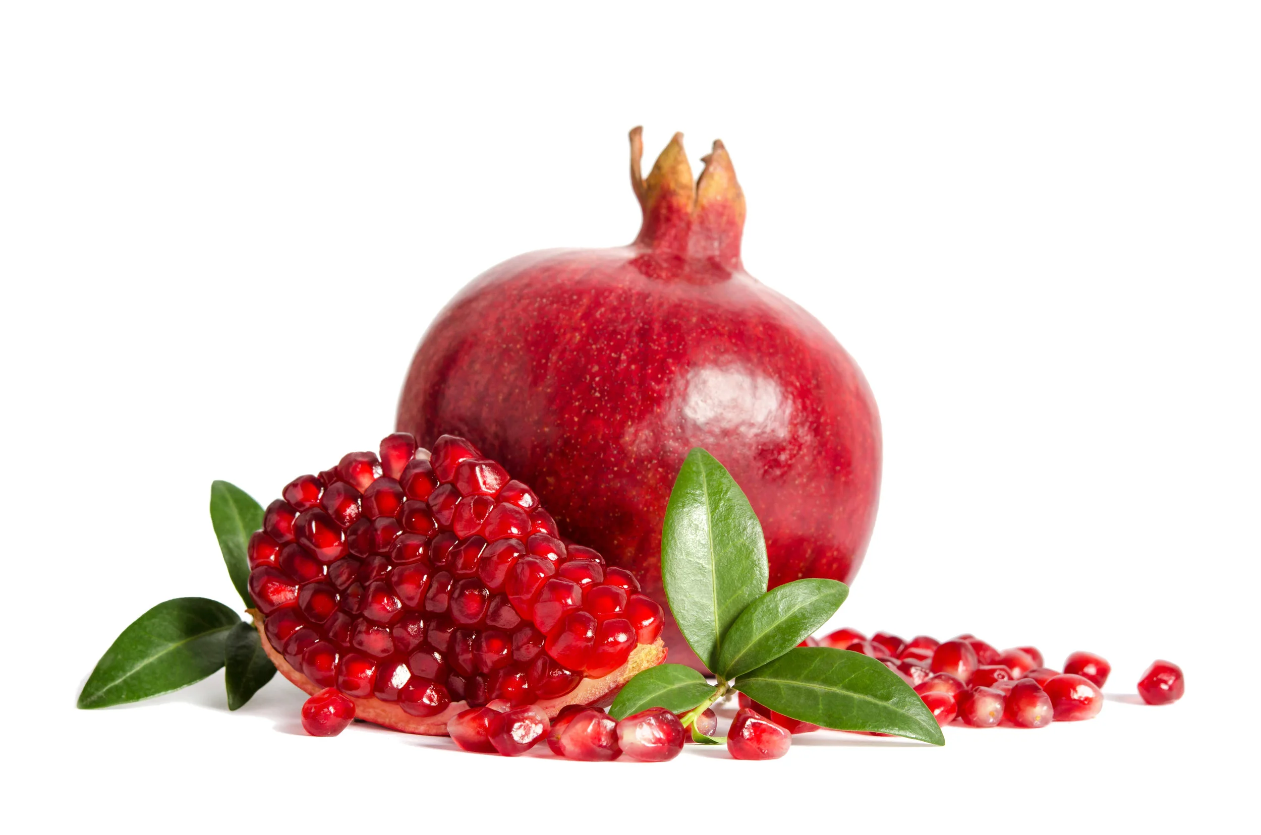 AdobeStock_233141415 No Background.jpeg