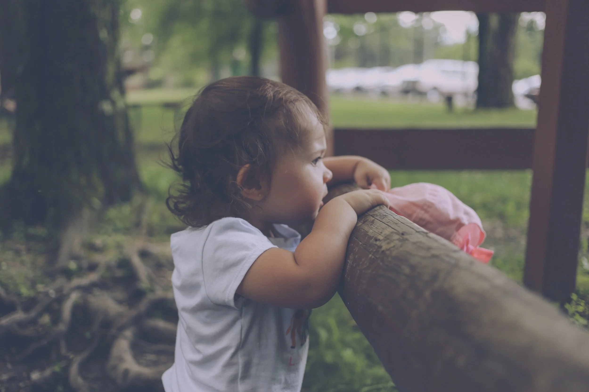 Looking at animals at the Lehigh Valley Zoo, Pennsylvania Family Photography