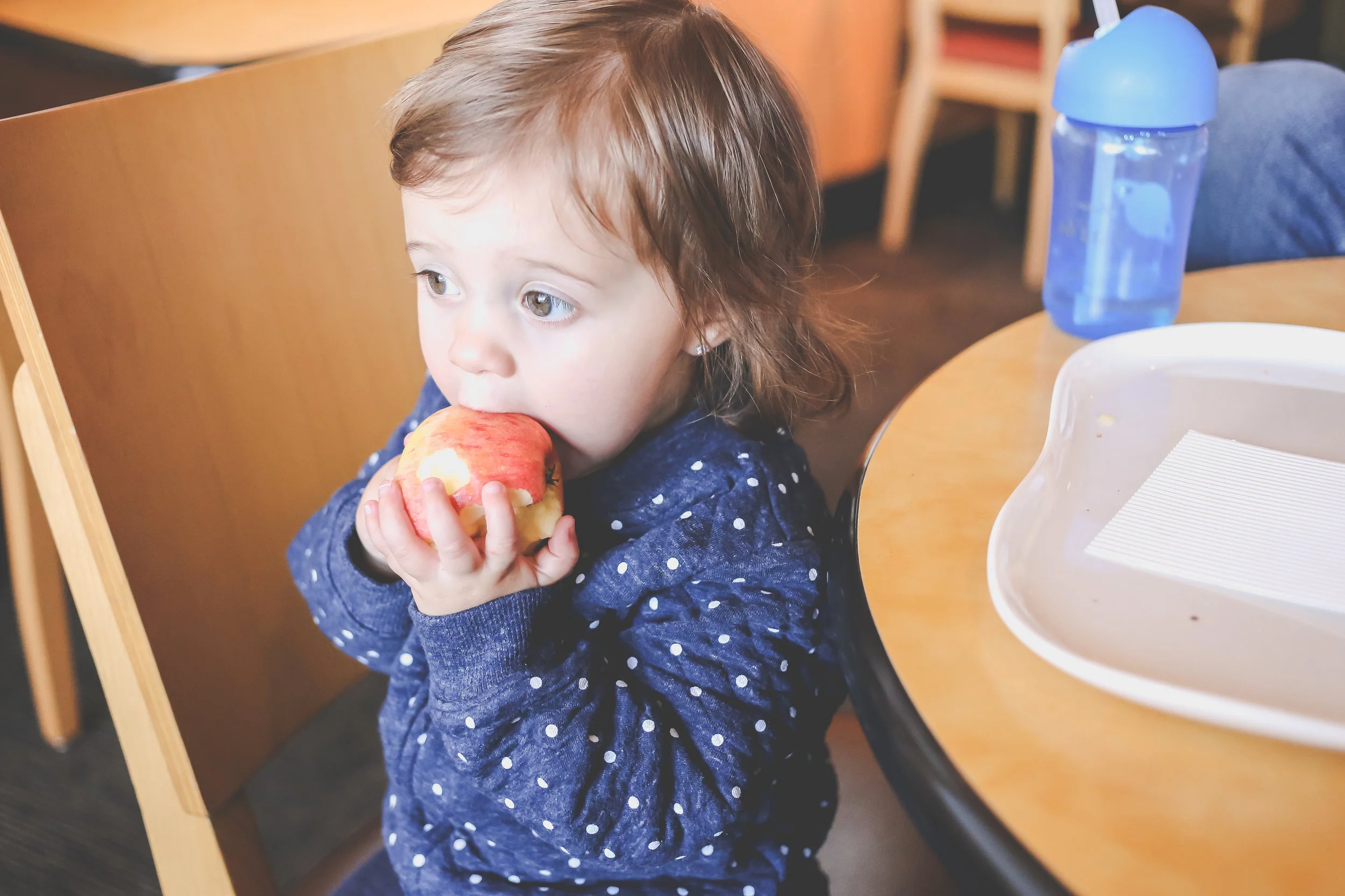 Toddler girl eating an apple at Panera Bread in Staten Island, NY. Documentary family photography.