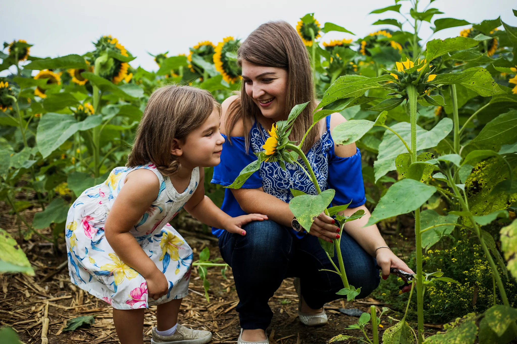 Mother and daughter in the sunflower fields at Grim’s Orchard, Lehigh Valley, PA.
