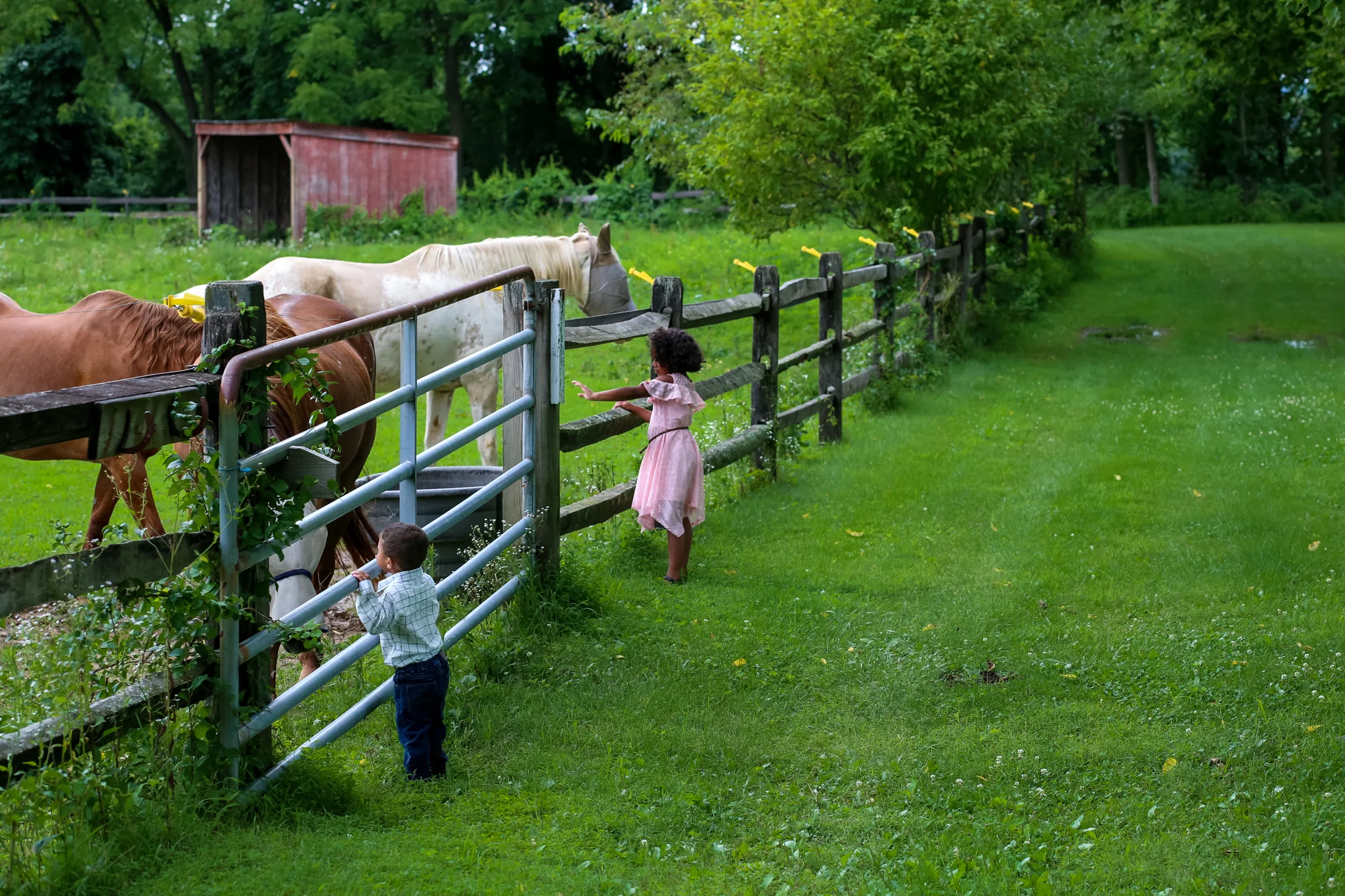 Brother and sister admiring the horses at Manito Equestrian Center in Allentown, Pennsylvania.
