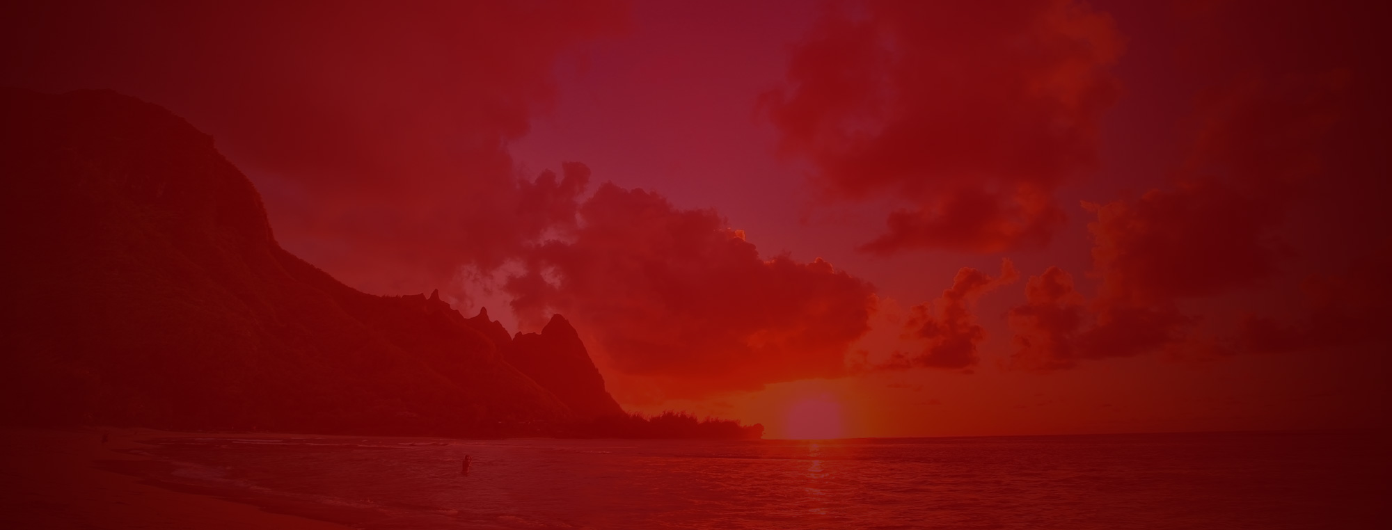 header.jpg