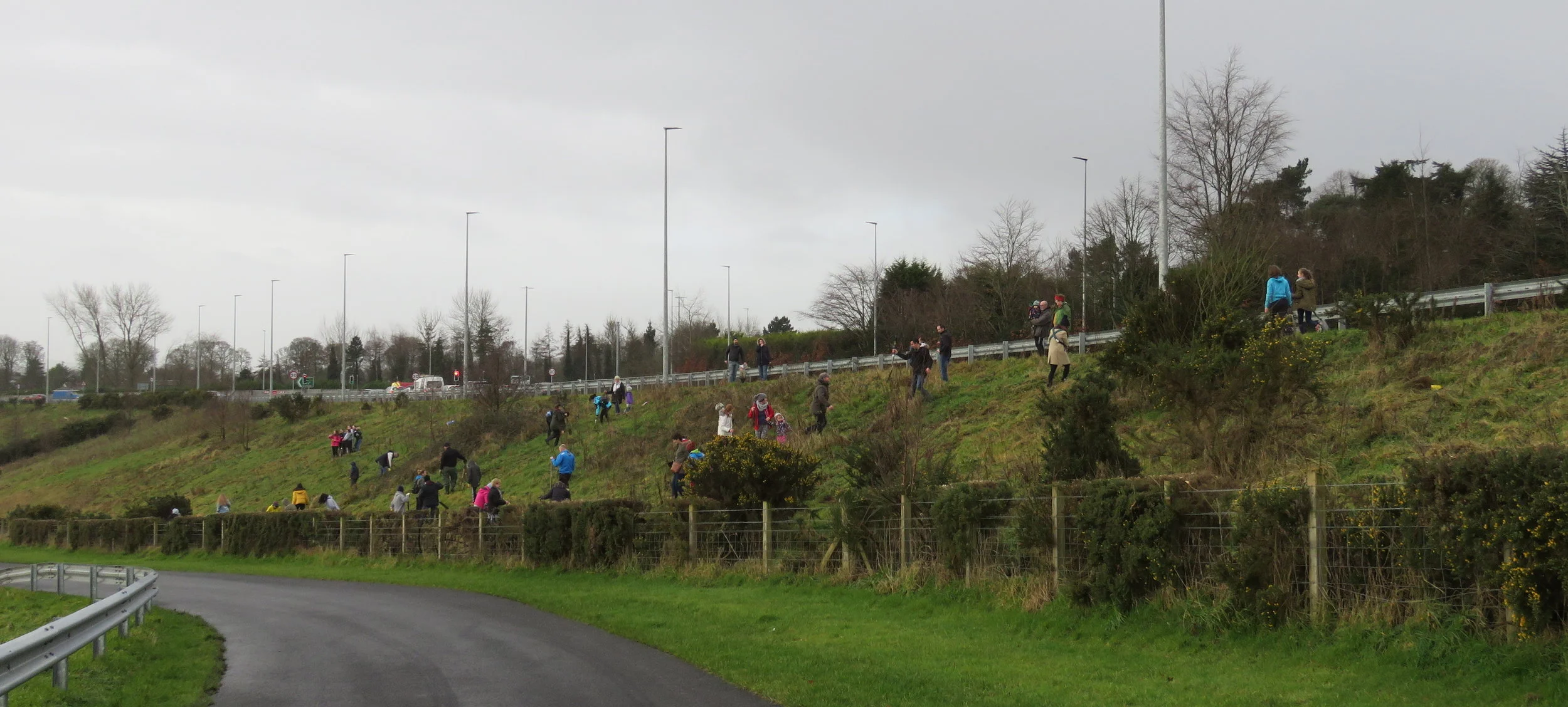 Tree planting on 10th February in Derry with Derry City &amp; Strabane District Council.