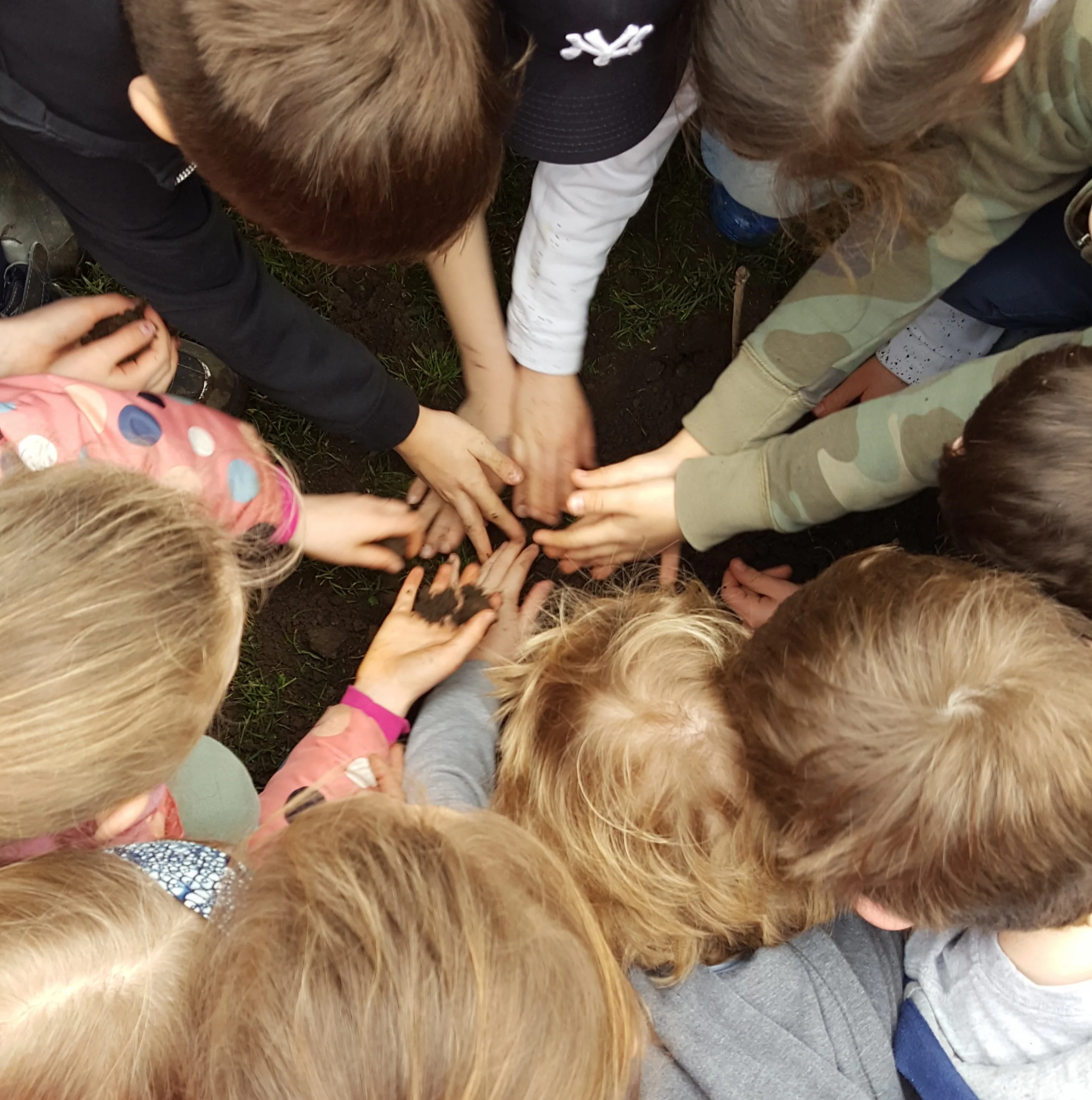 School children getting their hands dirty - Saturday 10th February