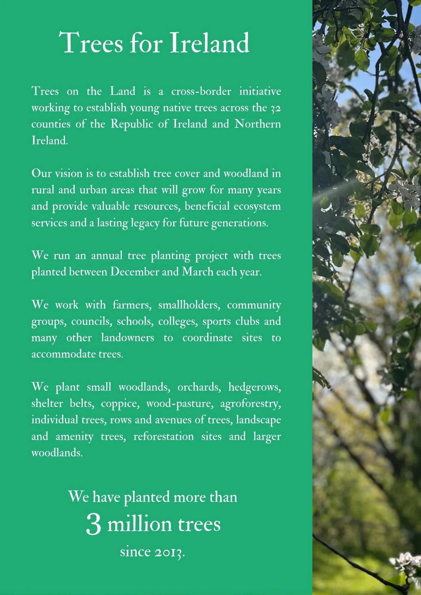 Trees on the Land - Business S (1).jpg