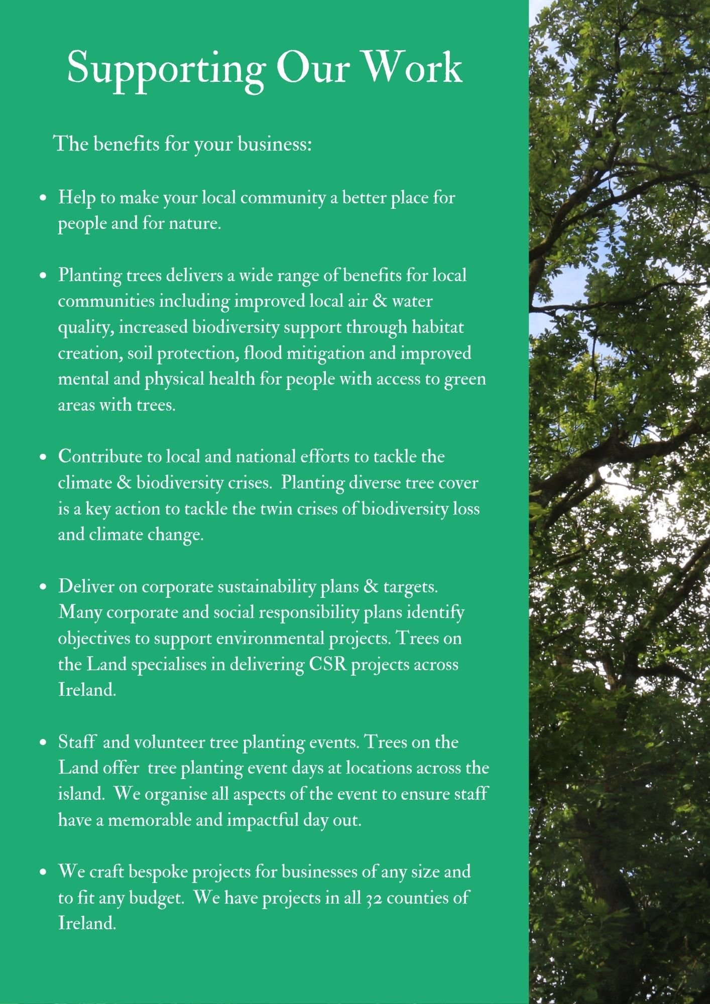 Trees on the Land - Business S (2).jpg
