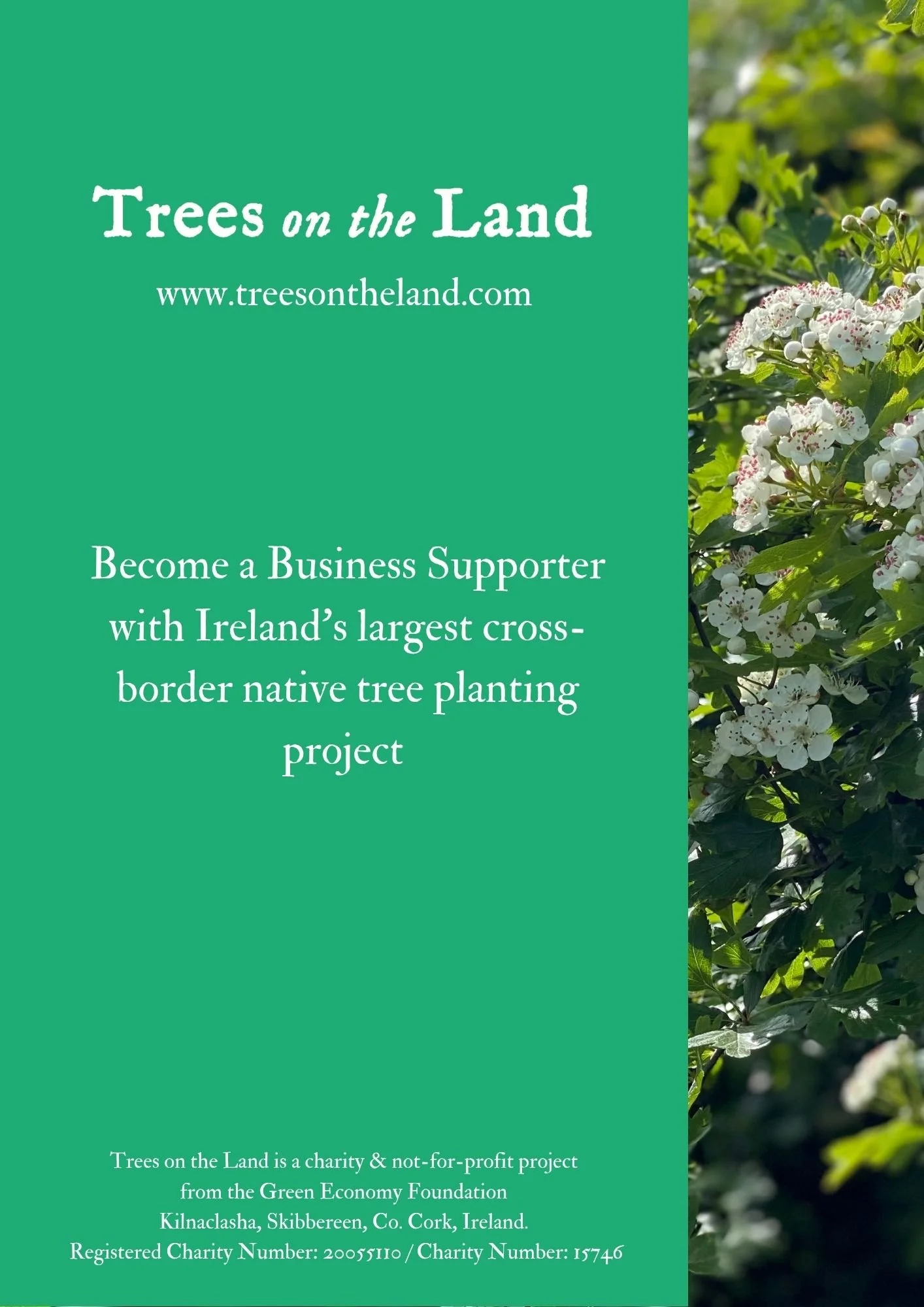 Trees on the Land - Business S (5).jpg
