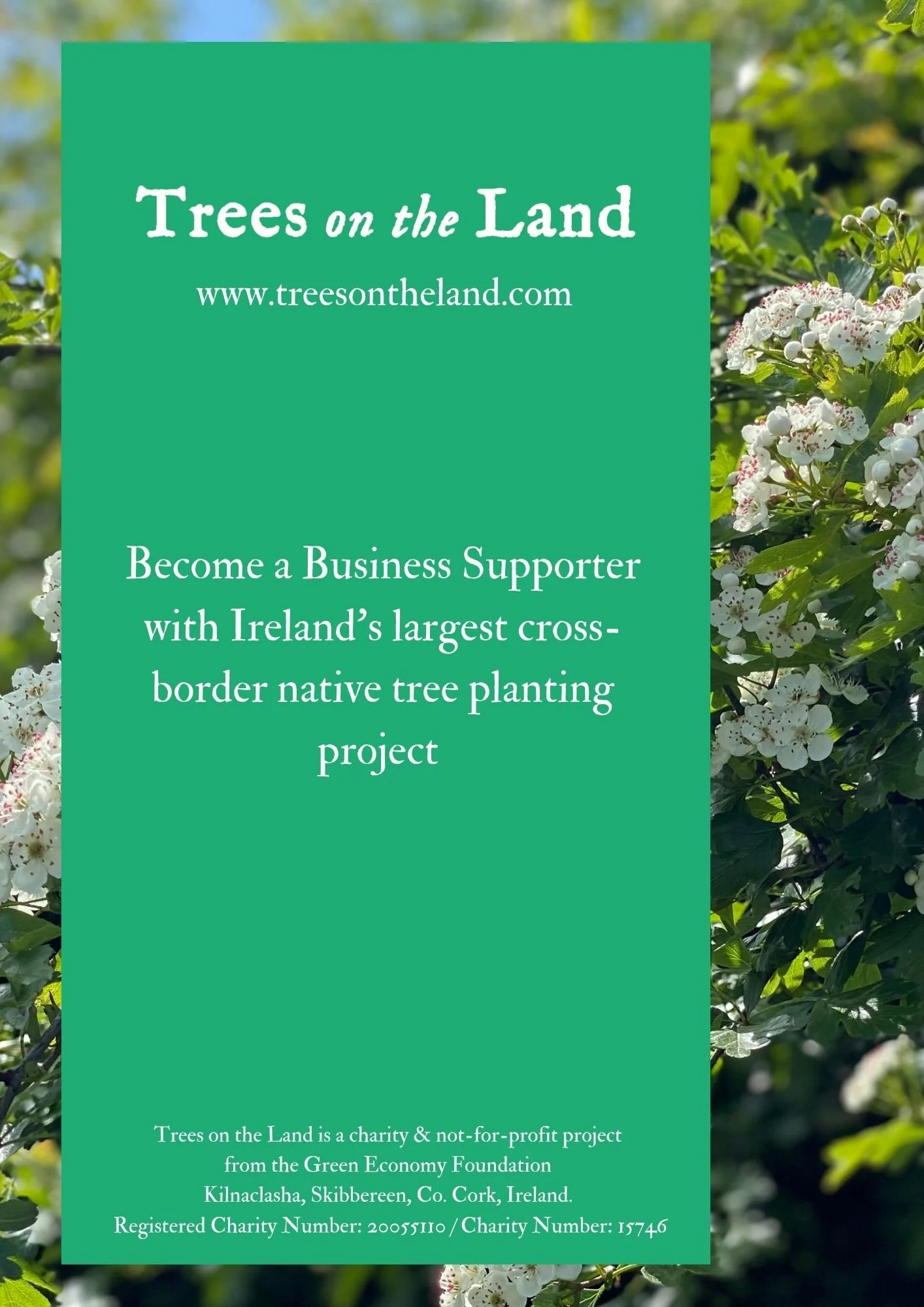 Trees on the Land - Business S (6).jpg