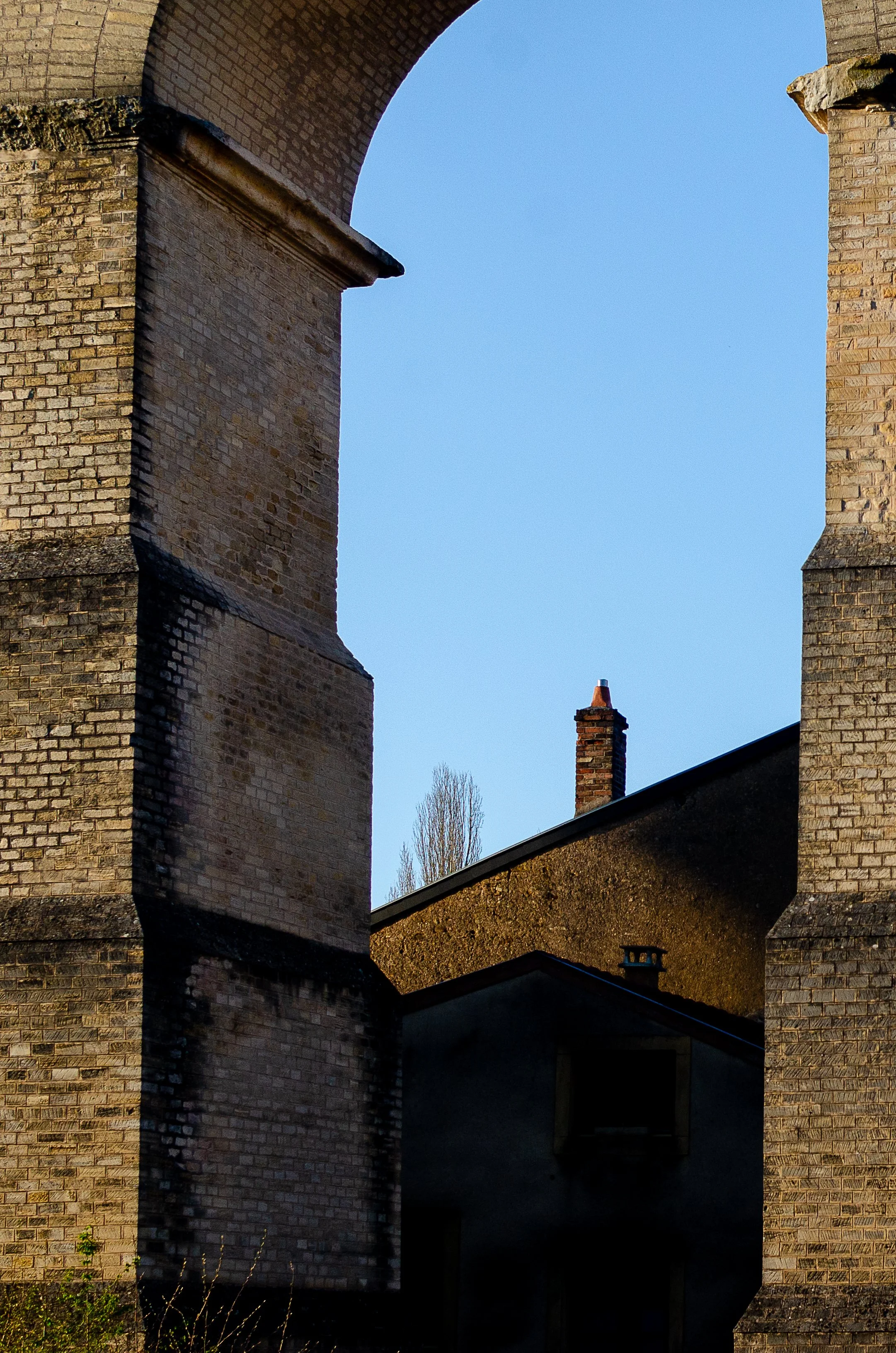 _DSC8126.jpg