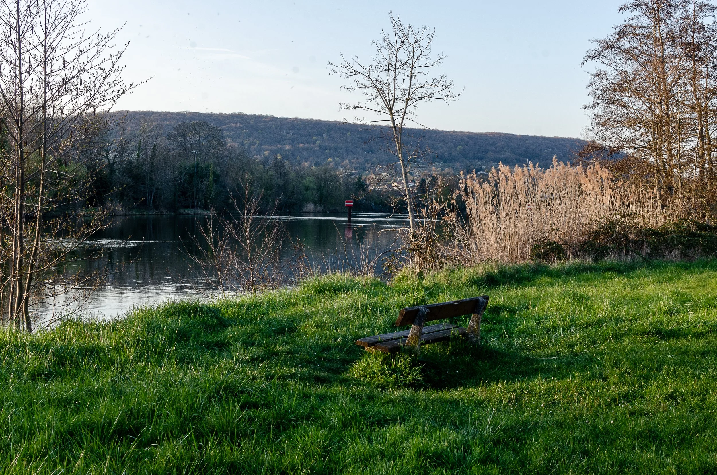 _DSC8158.jpg