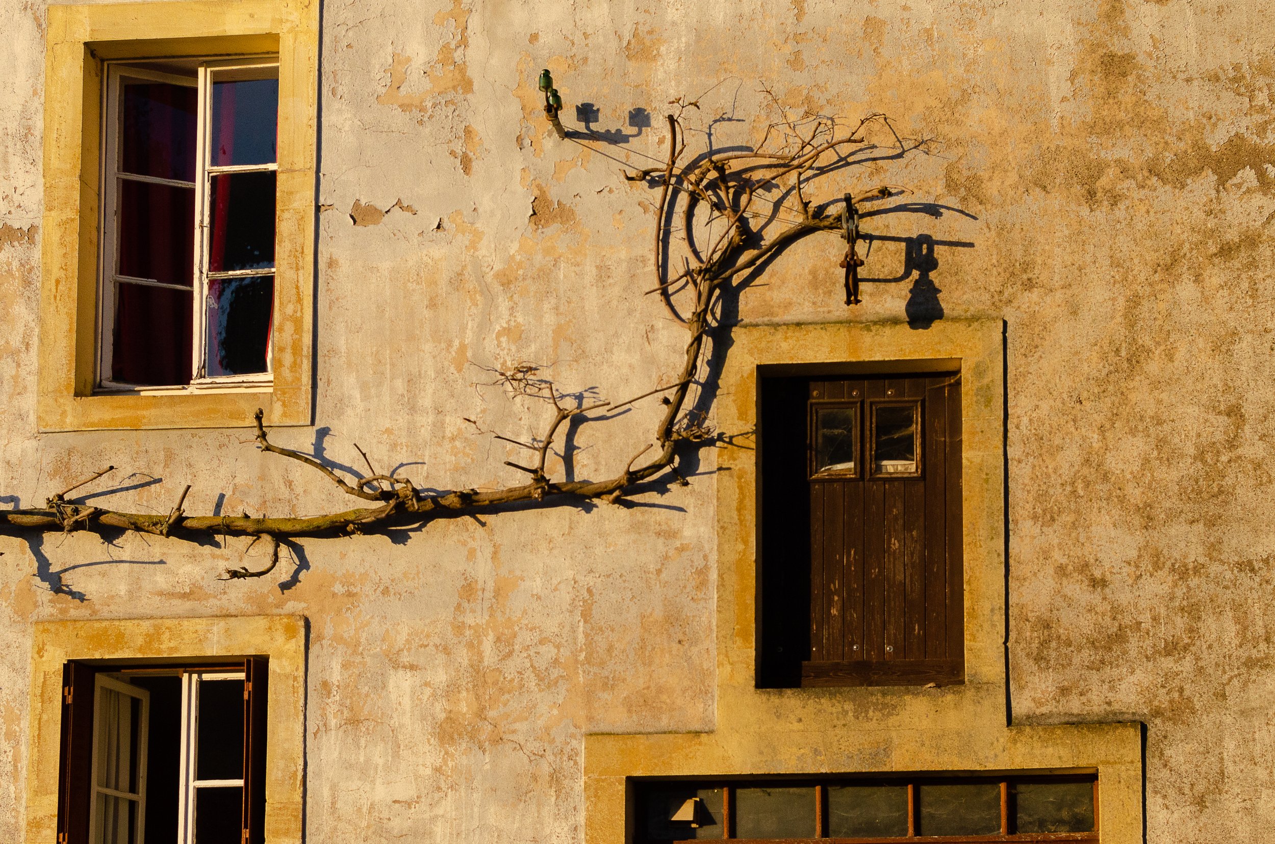 _DSC8152.jpg