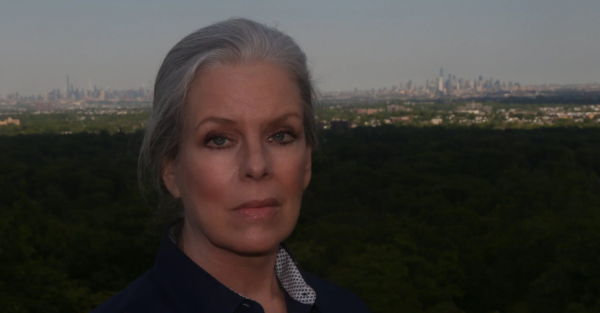 Janet Aldrich - NYC Blue.JPG