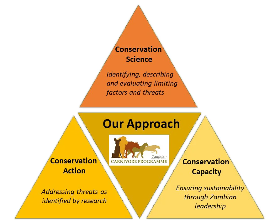 Our-Approach.jpg