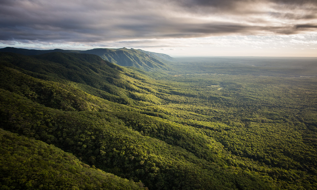 (Photo courtesy of Will-Burrard Lucas)