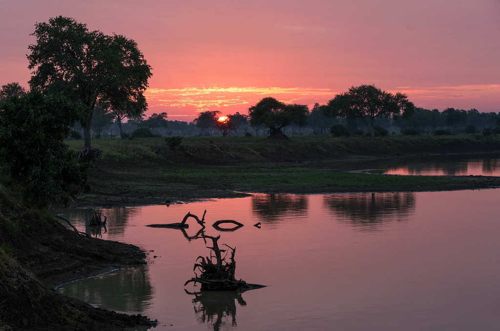 Mfuwe Sunrise (2).jpg