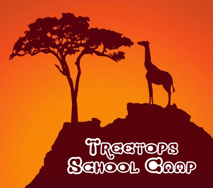 treetop-camp.jpg