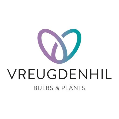 Vreugdenhil bulbs.jpeg