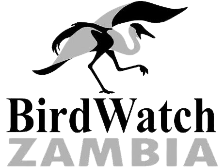 birdwatch zambia transparent logo.png