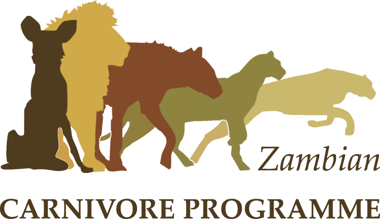Zambian Carnivore Program