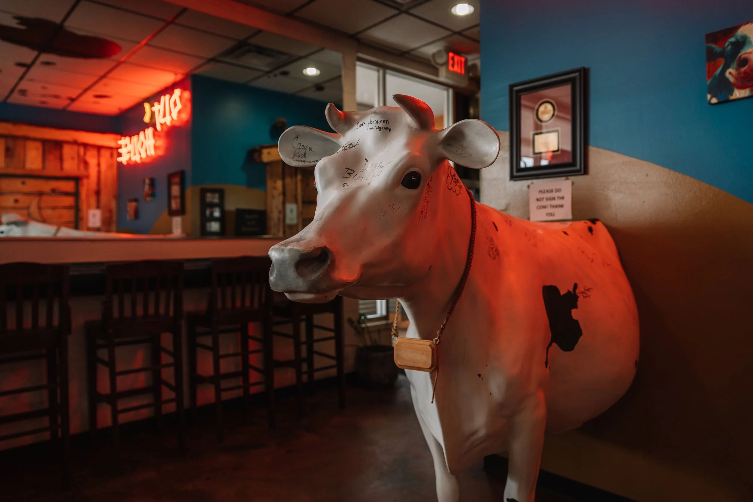 The Cow CalfHay
