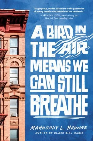 bird in the air.jpeg