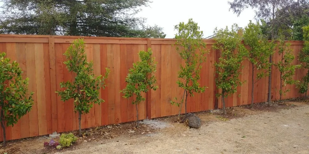 Wood Fence.jpg