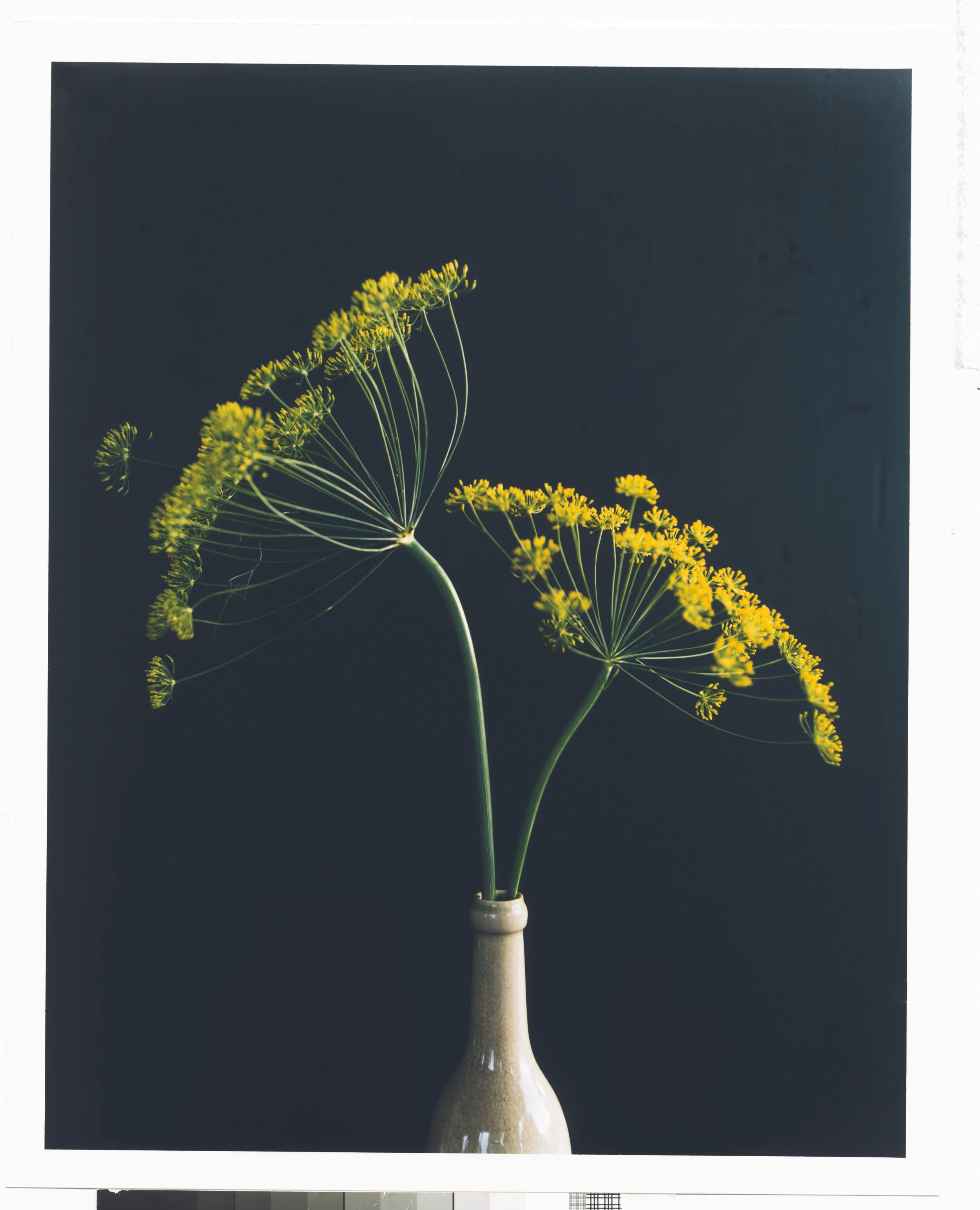 RG-005_0034-FLOR:OrganicStyle.jpg