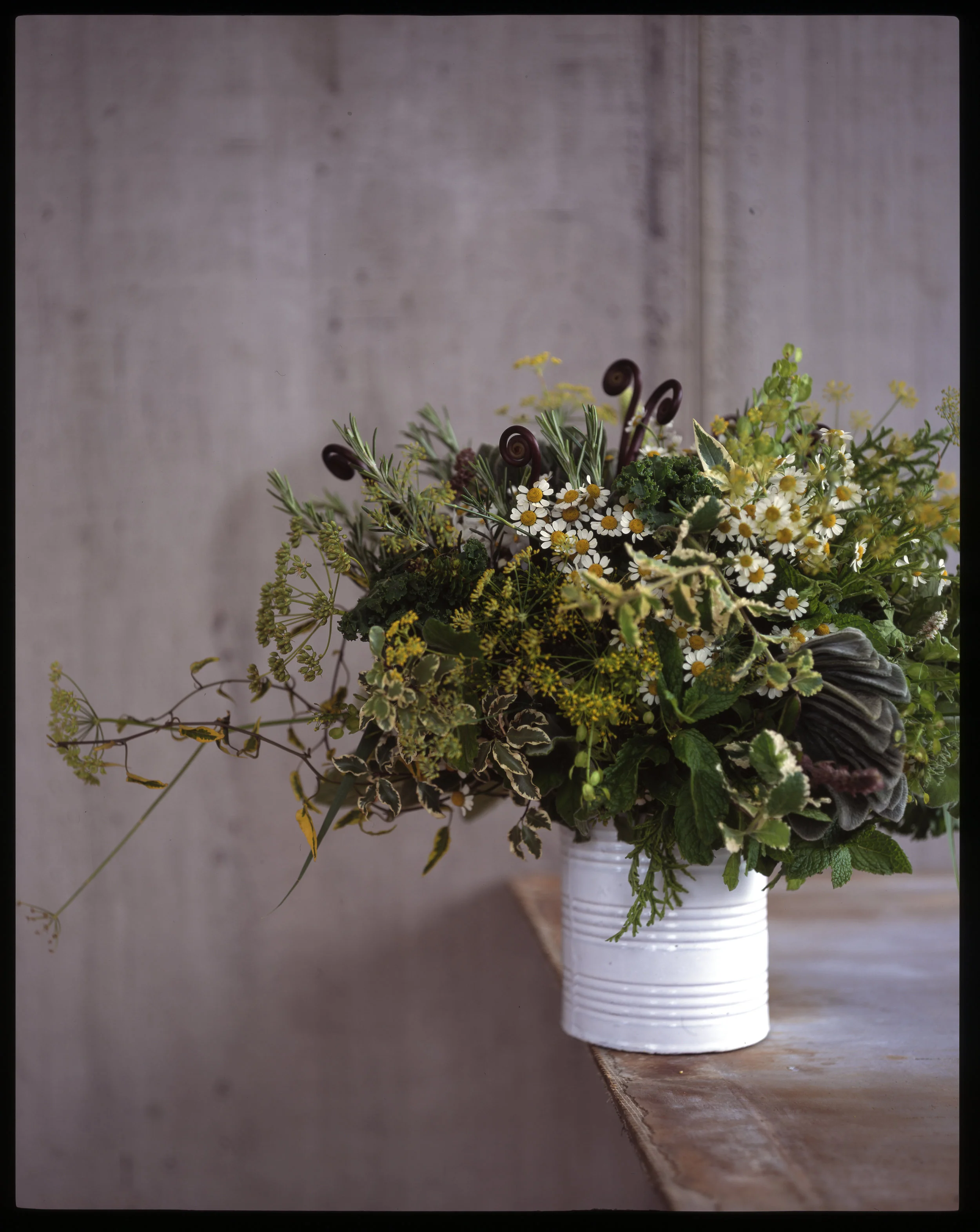 RG-003_0001-OrganicStyle.jpg