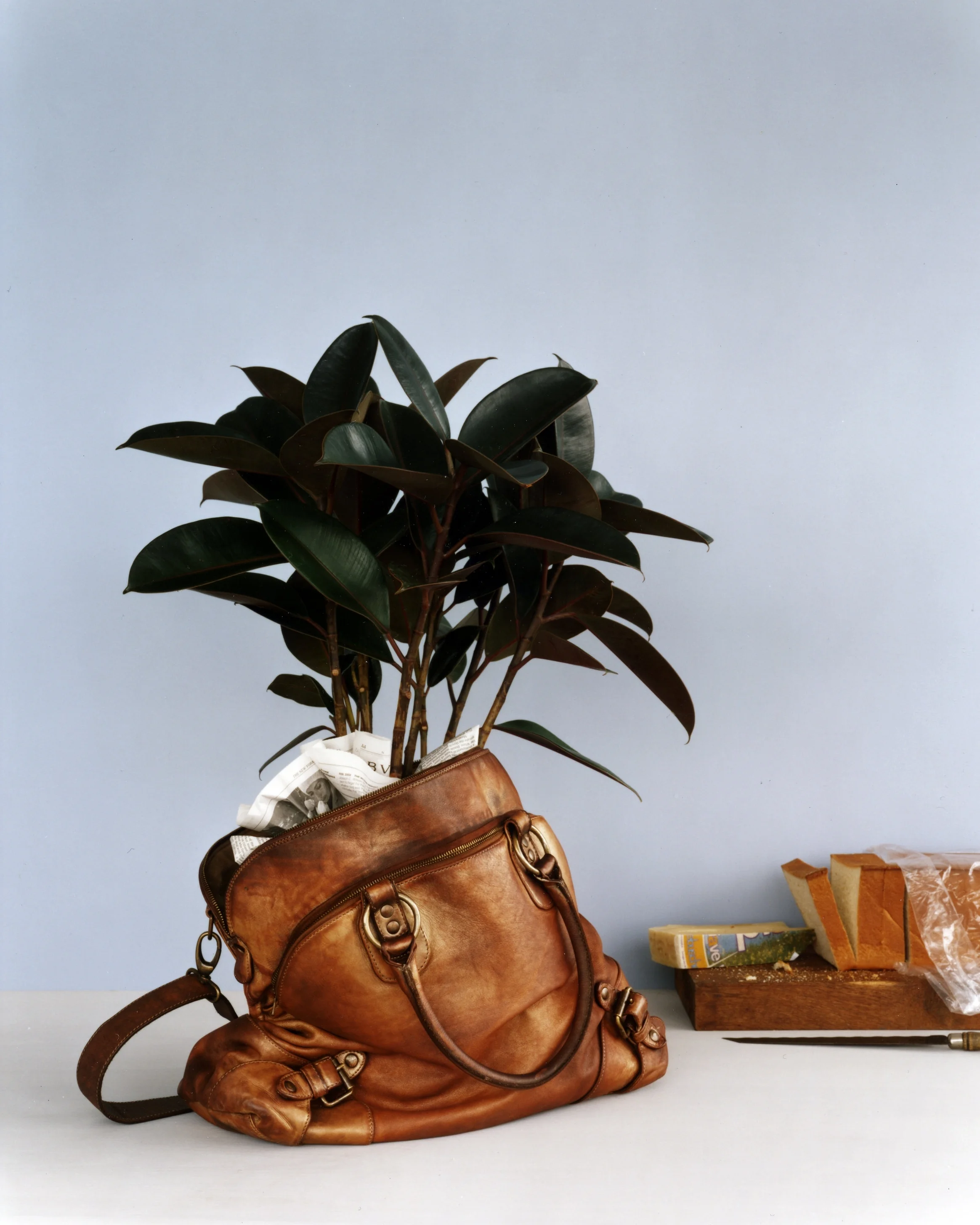 RG-006_0877-Anthropologie.jpg